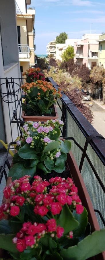 Casa Priscilla Apartment เปสการา ภายนอก รูปภาพ